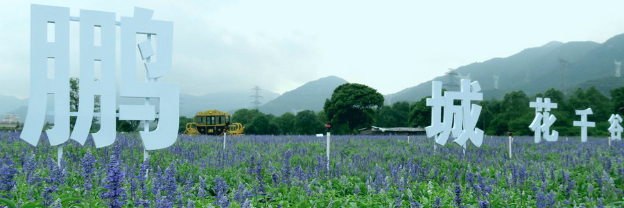 深圳花千谷字.jpg