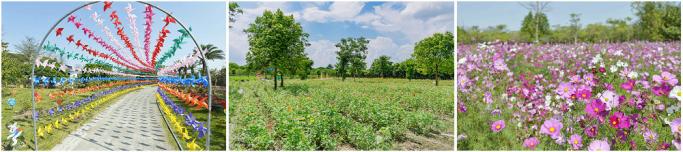 图片6.JPG 图片6.JPG