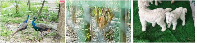 图片7.JPG 图片7.JPG