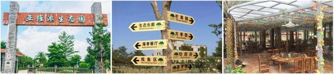 图片5.JPG 图片5.JPG