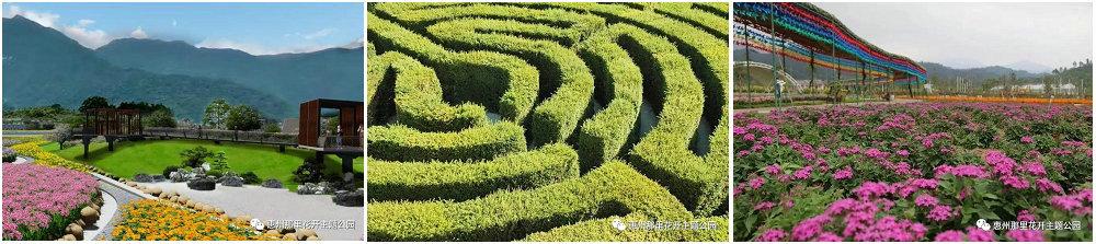 图片8.JPG