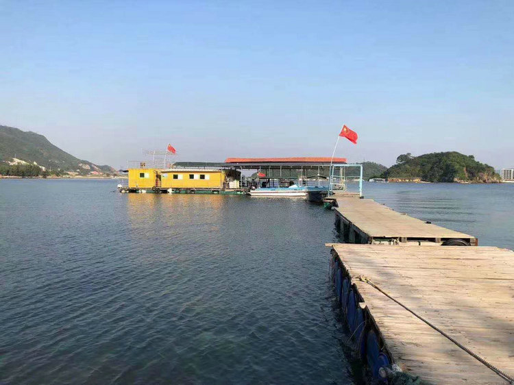 基地里面鱼排观光.jpg