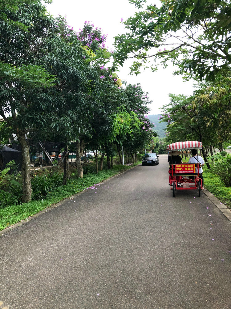 绿道车.jpg