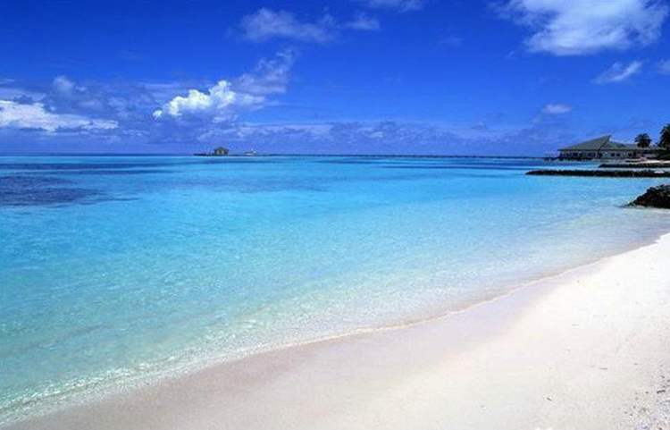 海2.jpg