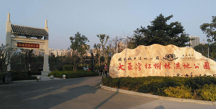 大亚湾红树林公园01.jpg