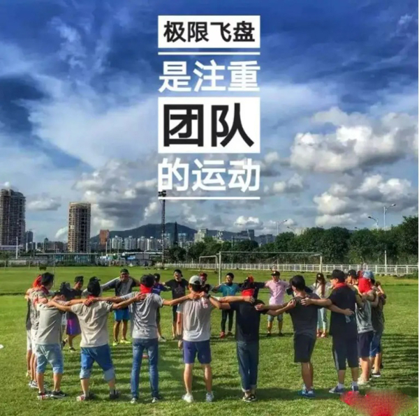 飞盘宣传.jpg