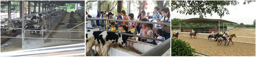 图片19.jpg