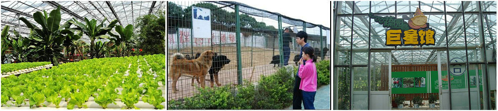 图片21.jpg