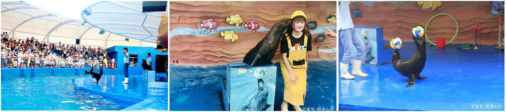 图片12海洋剧场.jpg