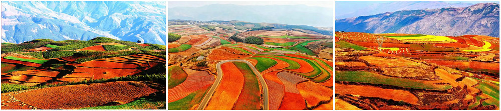 东川红土地.jpg