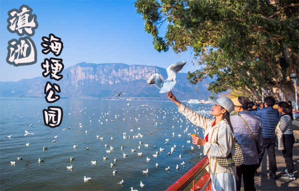 有字.jpg