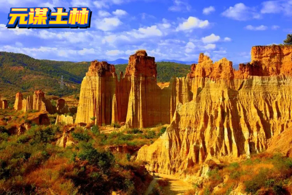 元谋物茂土林有字.jpg