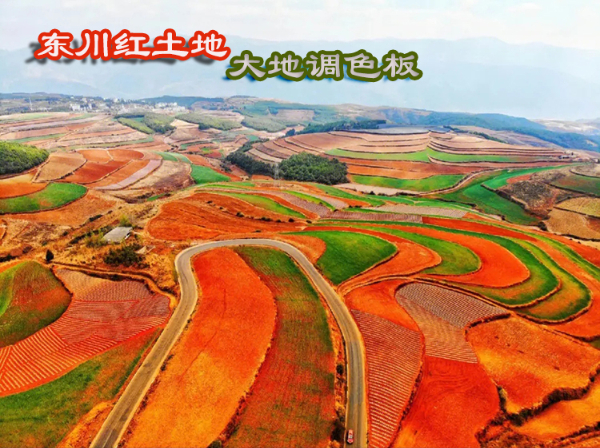 东川红土地02有字.jpg
