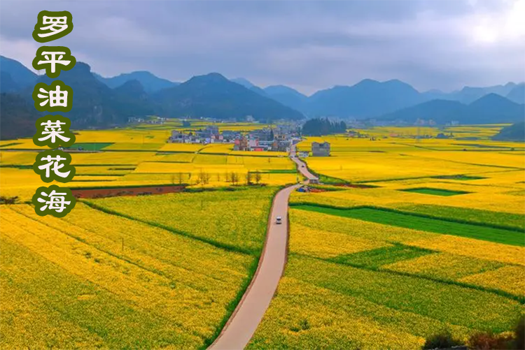 1704681255846有字.png