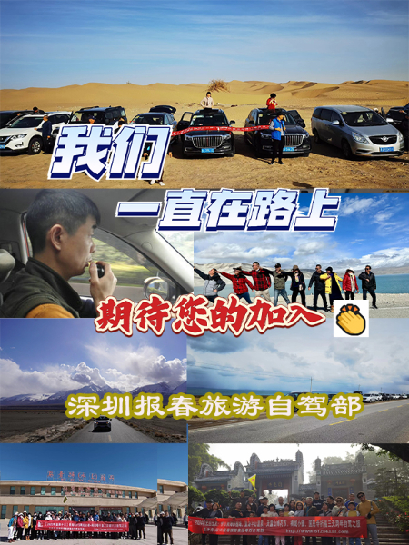 11车队.jpg